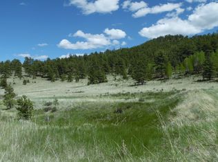 436 Tess Trace Rd, Guffey, CO 80820