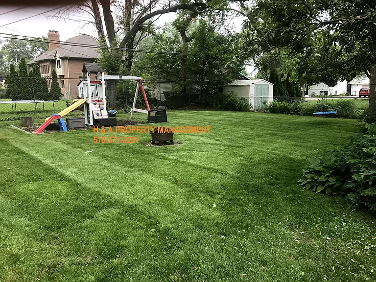 Backyard with playset, saucer swing and hammock .