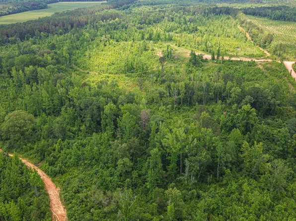 Willingham Bottom Rd, Eupora, MS 39744