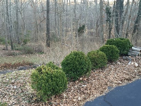 5th image of 1515 Lexington Dr