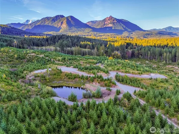 294 Hardy Lane, Packwood, WA 98361