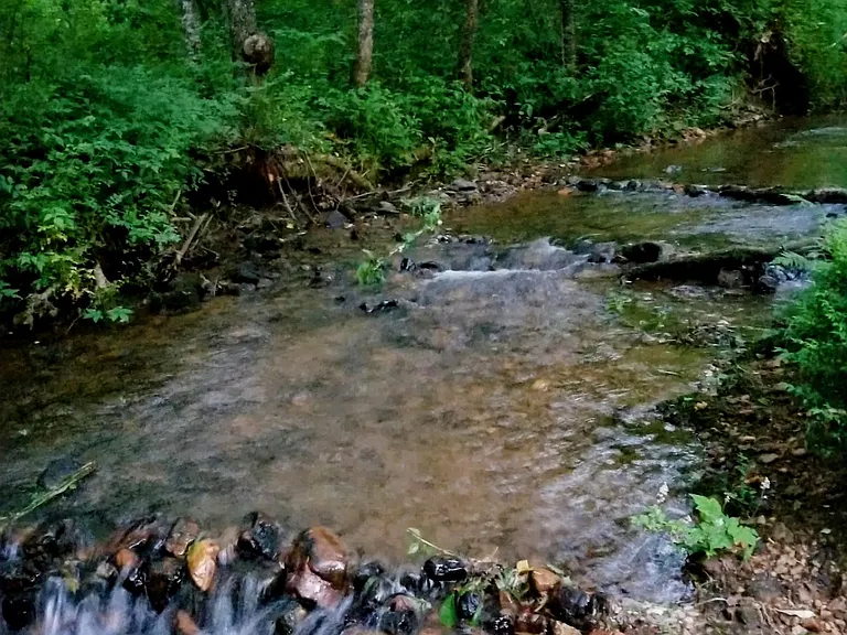 Hooper Branch Rd — Photo 19