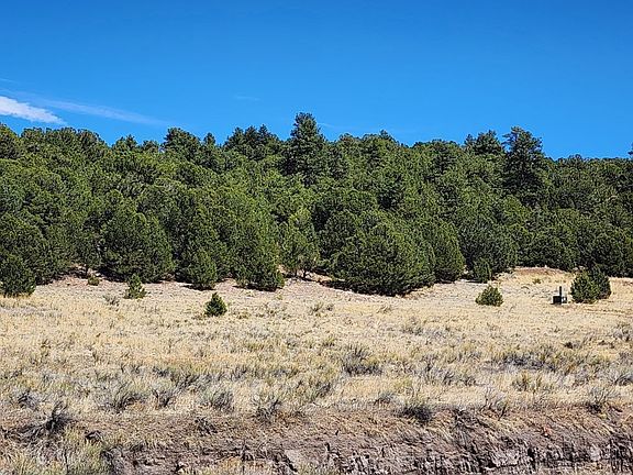 4th image of 1705 County Road 310