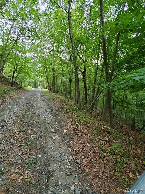 2nd image of 5 Forest Rd