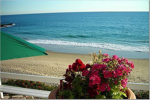View from patio
