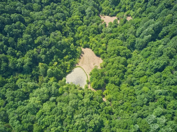 0 Sycamore Valley Rd, Pleasant Shade, TN 37145