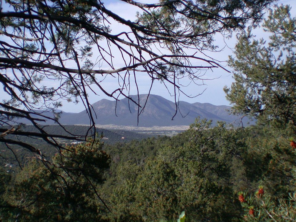 184 Via Sedillo Rd, Tijeras, NM 87059 Zillow