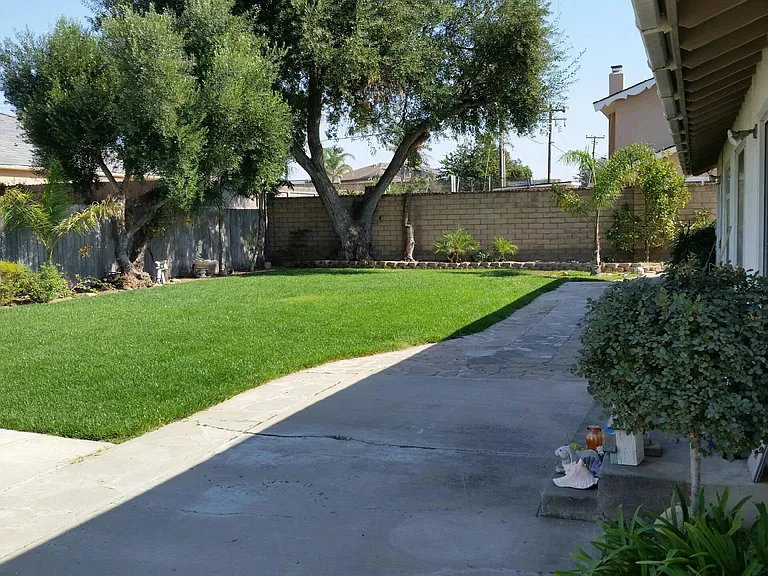 1075 Amethyst Dr — Photo 3