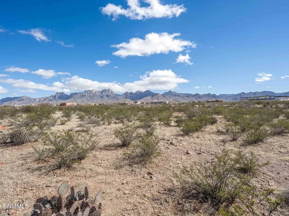 7911 Dripping Springs Rd, Las Cruces, NM 88011
