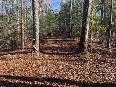 Camp Creek Rd, Murphy, NC, 28906
