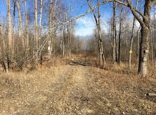 N Lakeshore Rd Vacant, Port Hope, MI 48468