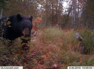 154 Asa Dyer Brook Rd, Steuben, ME 04680