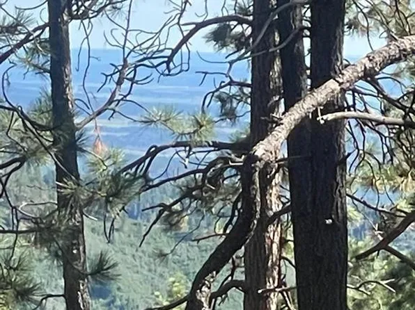 176 Big Timber Drive, Bayfield, CO 81122