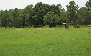 2nd image of 251 County Road 665