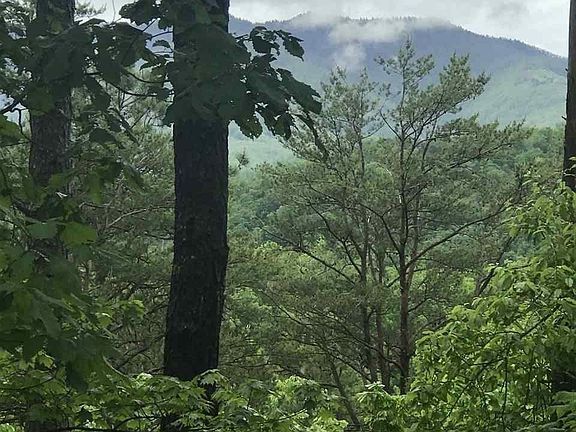 3rd image of 0 Ball Hollow Rd Lot 0