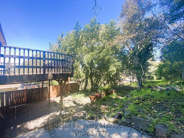 77 Sunny Hill Dr — Photo 19