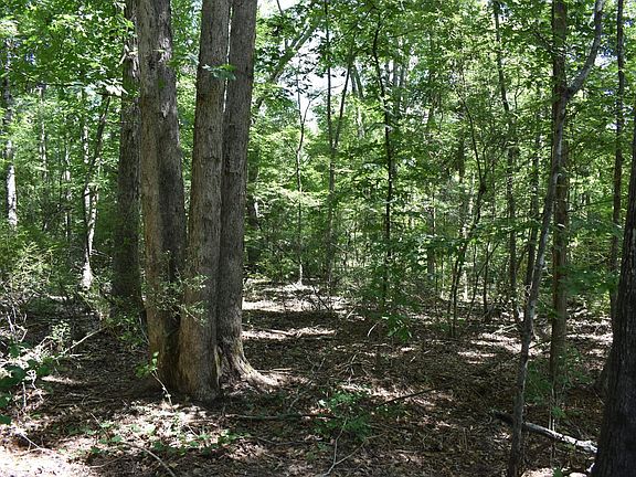 3rd image of McGarrahan Rd