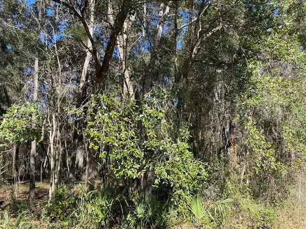 SW 3rd St Lot 13-14, Micanopy, FL 32667