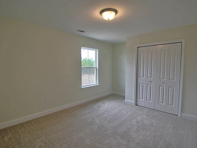 149 Franklin Tree Dr — Photo 14