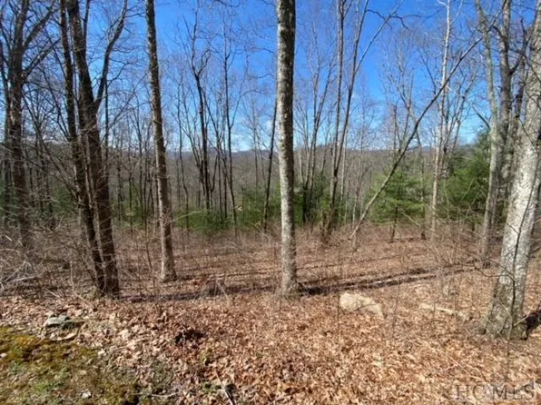 LOT 56 Beechfern Dr, Glenville, NC 28736