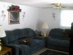 Den with gaslog fireplace