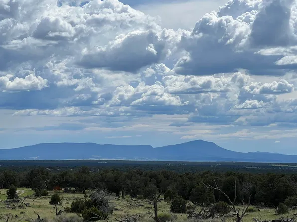 Pine Rd, Pie Town, NM 87827