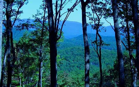 15 Old Burnt Mountain Rd photo 1