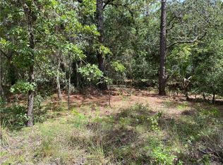 3229 E Michael St, Inverness, FL 34453