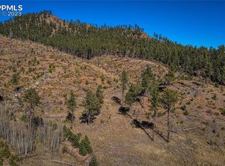 226 W Valley Dr, Woodland Park, CO 80863