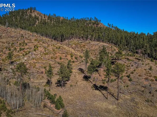 226 W Valley Dr, Woodland Park, CO 80863
