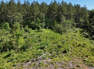 4 Lamontville Rd LOT 4, Decatur, TN 37322