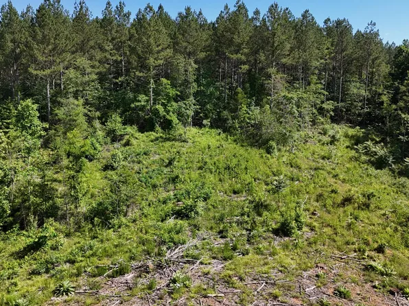 4 Lamontville Rd Lot 4, Decatur, TN 37322