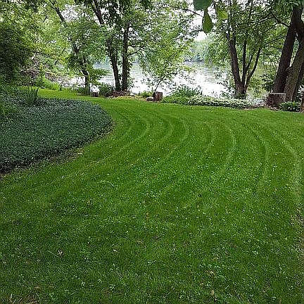 Well Landscaped - Organics 