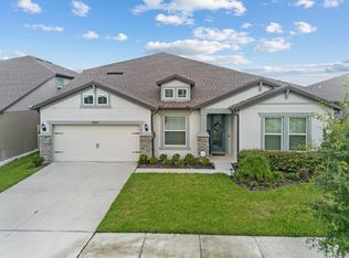 9647 Ibis Grove Blvd, Wesley Chapel, FL 33545