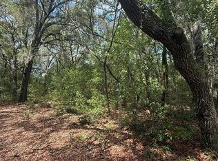 132 Duncan Ave LOT 132, Interlachen, FL 32148