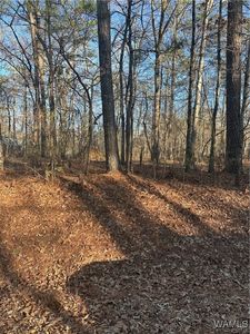 20 Marshall Dr, Mc Calla, AL, 35111