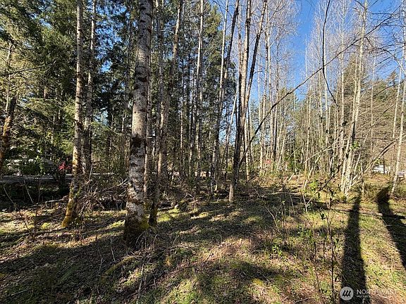 5th image of 181 Nisqually Way
