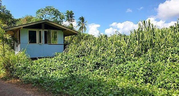 2nd image of 66-039 Waialua Beach Rd APT B