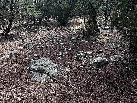 5th image of 9 Juniper Way