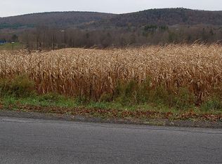 3 White Church Rd, Brooktondale, NY 14817