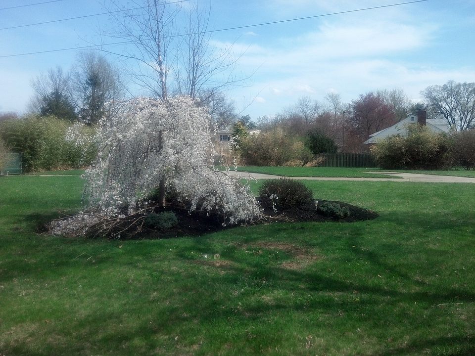 The berm in the side yard