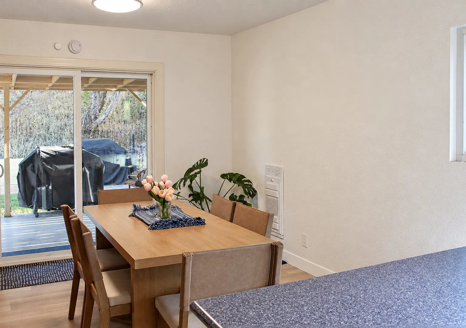 Beautiful 3 Bedroom Home in Santee with Large Backyard — Photo 4