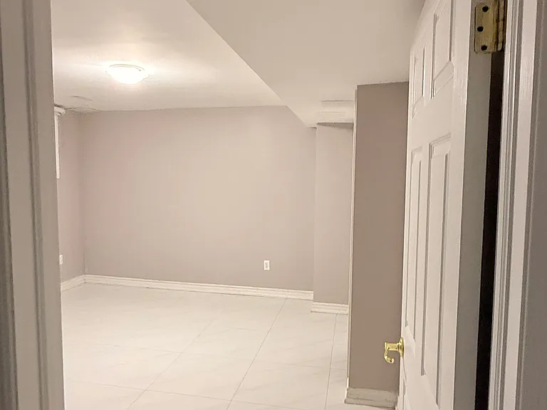 4 Meandering Trl #BASEMENT — Photo 6