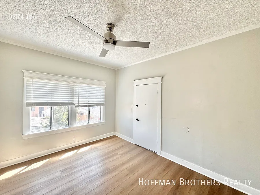 194 W 41st Pl Los Angeles, CA 90037 — Photo 3