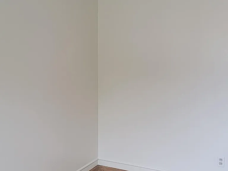 338 White Dr — Photo 16