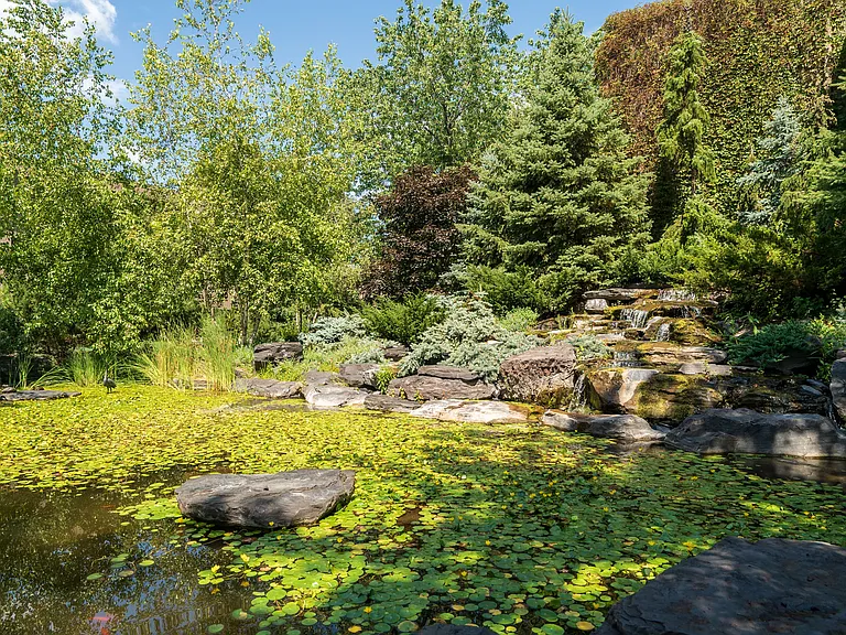 Cedars Falls