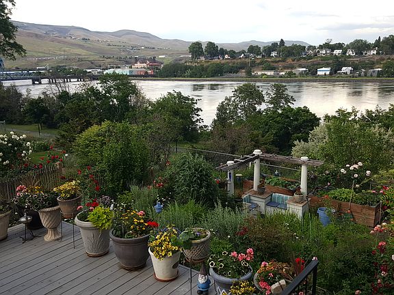 View from deck