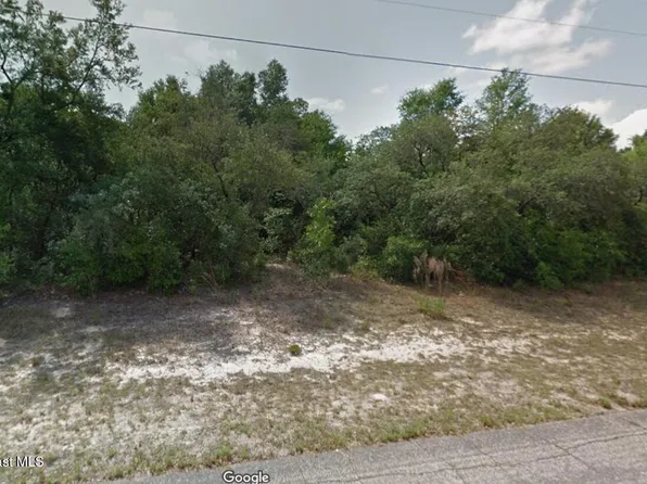 2728 W Forbes Pl, Citrus Springs, FL 34434