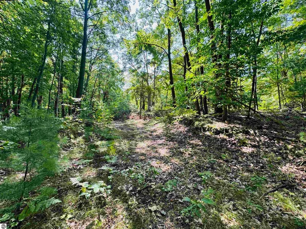 Steed Rd, Buckley, MI 49620