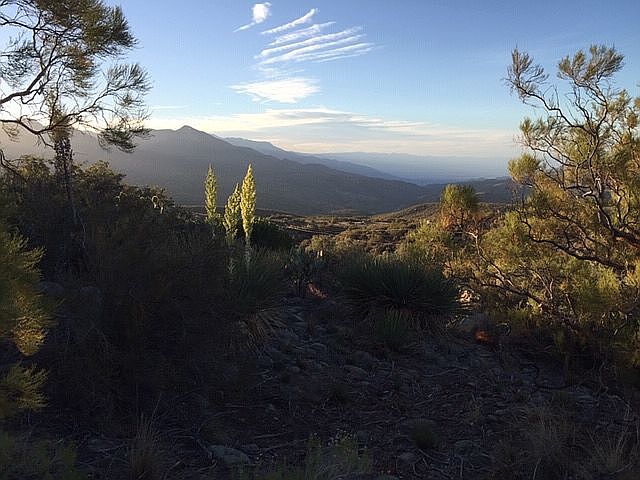Mountain and Valley Views